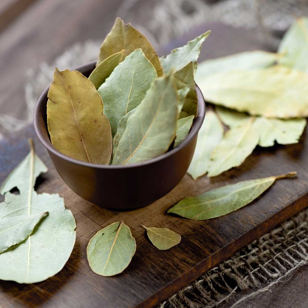 Bay Leaves